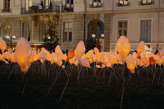 Performance: Efflorescences, un projet de Sophie Guyot pour la Fte des lumires  Lyon en France